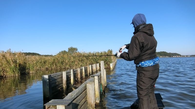 サイトマスター　セブンツー　正月特価！！　青木大介　バサクラ FISHING BASE:【まもなく入荷】サイトマスターキネティックに青木大介